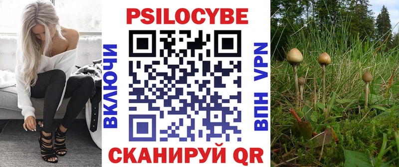 Псилоцибиновые грибы MAGIC MUSHROOMS  Купить где  Красноармейск 